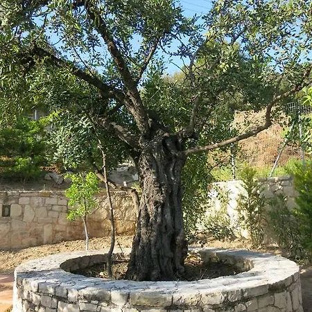 Alma خيرسونِسوس